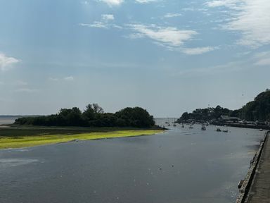 A river with boats docked near trees and houses along the shore at Estuary Escape in Porthmadog