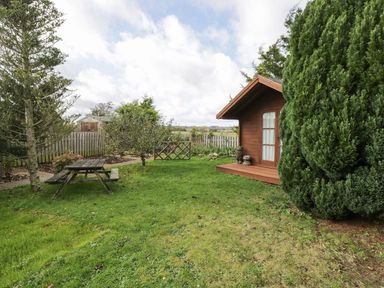 A grassy backyard with a wooden picnic table a small wooden shed and trees at Ground Floor Annex in Milton-Under-Wychwood
