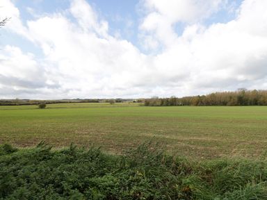An open grassy field with some bushes in the foreground and trees in the distance at Ground Floor Annex in Milton-Under-Wychwood