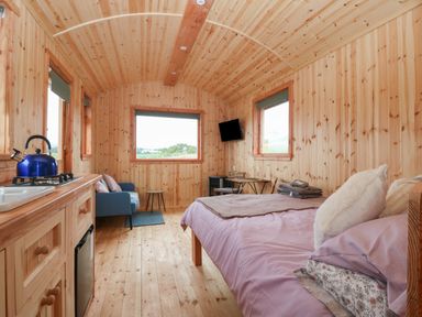 A wooden interior room with a bed purple bedding a kitchenette with a kettle a blue armchair a small table and a wall mounted television at Hafan Gelli Sheperds Hut - Tudwal Pwllheli