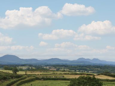 A rural landscape with fields trees and cows with mountains in the background at Hafan Gelli Sheperds Hut - Tudwal in Pwllheli