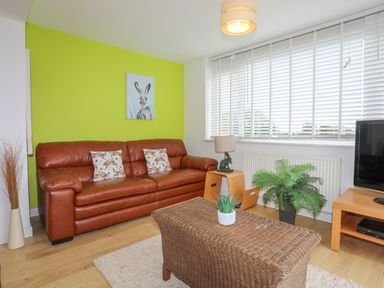 A living room with a brown leather sofa and green feature wall at Mor Glas in Abersoch