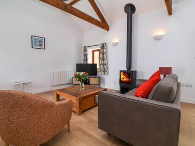 A living room with a wood stove a brown sofa a red cushion an armchair and a wooden coffee table at Woodland Roost in Parkham near Bideford