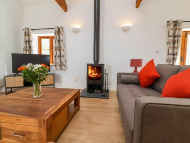 A living room with a wood stove fire a gray sofa with red cushions a wooden coffee table with flowers and a television at Woodland Roost in Parkham near Bideford