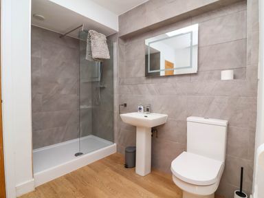 A bathroom with a walk in shower a sink with soap a toilet and a mirror at Woodland Roost in Parkham near Bideford