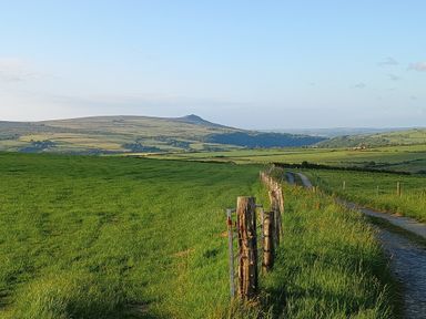 A rural landscape with green fields a dirt road and wooden fence posts at The Old Stable in Pontfaen near Fishguard