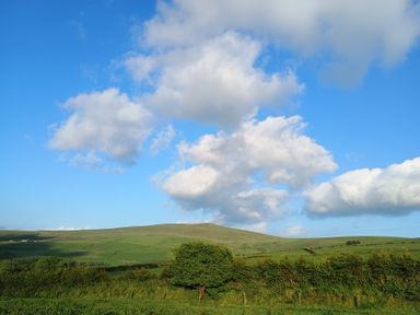 A grassy hill with scattered trees under a blue sky with clouds at The Old Stable in Pontfaen near Fishguard