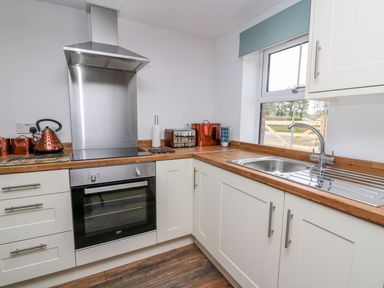 A kitchen with a stainless steel oven and hood wooden countertops and white cabinets at Field View in Llanybydder