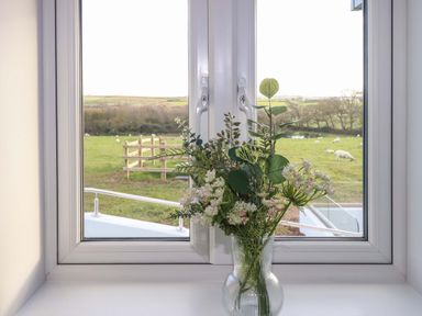 A window with glass vase and flowers on the windowsill and a view of green fields and sheep grazing at Lake View in Kestle Mill near Quintrell Downs