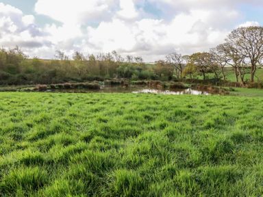 A landscape featuring a pond surrounded by grass and trees at Lake View in Kestle Mill near Quintrell Downs