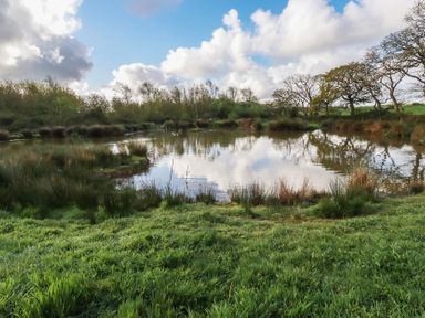 A pond surrounded by grass and trees at Lake View in Kestle Mill near Quintrell Downs