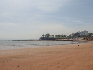 A sandy beach with calm sea and a tree-covered cliff with buildings in the background at Apartment 17 Abbey Sands in Torquay