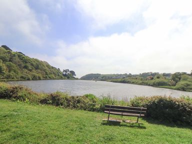 A bench on grass facing a river with trees and bushes on both sides at Lake View in Swanpool Nr Falmouth