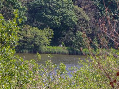 A lake with trees and bushes surrounding it at Lake View Swanpool Nr Falmouth