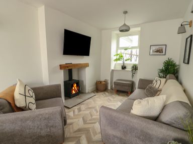 A living room with two gray sofas a fireplace with a wood-burning stove a wall-mounted TV and plants at 1 Mona Terrace in Llanfachraeth