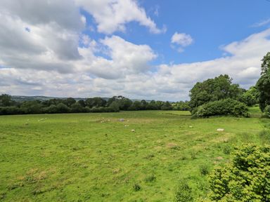 A green field with scattered sheep and trees under a cloudy blue sky at Valley Lodge 4 - North Wales Eco Lodges in Graigfechan near Ruthin