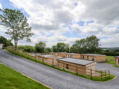 A group of wooden lodges with grey roofs along a gravel road with a wooden fence surrounded by trees at Valley Lodge 4 - North Wales Eco Lodges in Graigfechan near Ruthin