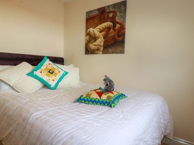 A bed with white bedding and decorative pillows in a bedroom with a wall art of a rope and chain at 20 Keay Heights in St Austell