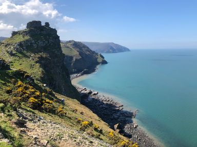 A rocky cliff with yellow flowers overlooking a shoreline and sea at The Old Smithy in Lynton