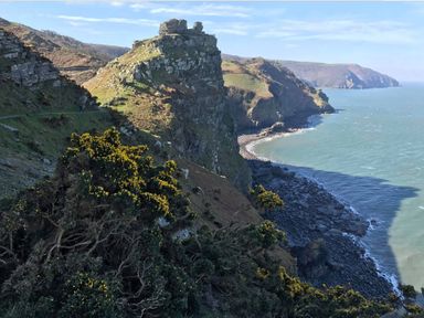 A coastal cliff with rocky shoreline and yellow flowering bushes at The Old Smithy in Lynton