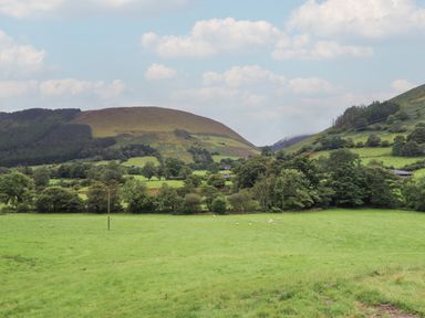A green pasture with sheep trees and hills in the background at Caban Tirion in Dinas Mawddwy near Dolgellau