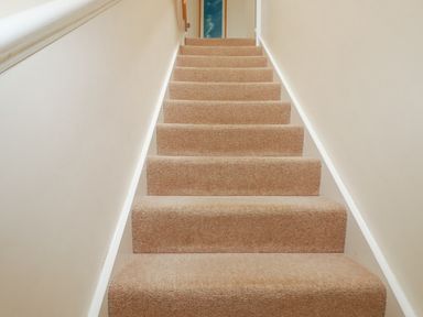 A carpeted staircase with beige walls on each side