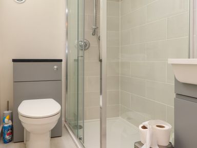 A bathroom with a toilet, a shower with glass doors, toilet cleaner, and toilet paper rolls at Beudy Mawr in Cwmystradllyn near Tremadog