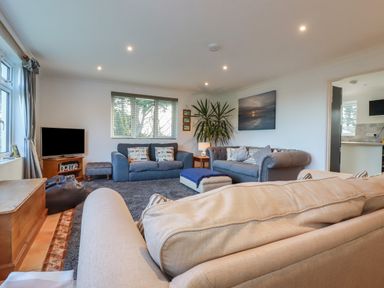A living room with sofas a television a plant and a chest at Surf Break in Polzeath