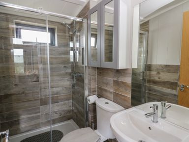 A bathroom with a shower, toilet, and sink at Coogee View in Maenygroes near New Quay