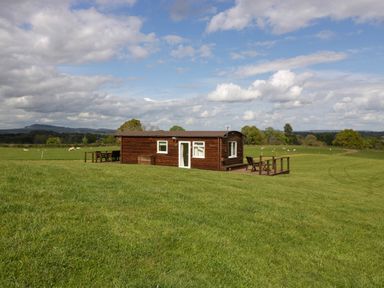 A wooden cabin with outdoor seating on a grassy field with sheep in the background at Poppy in Raglan