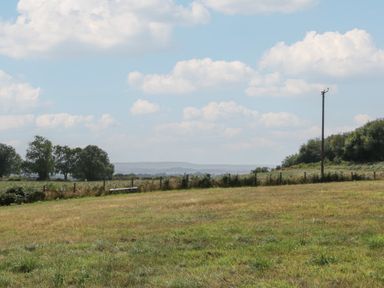 A field with grass and trees at Poppy in Raglan