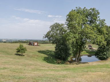 A cabin near a pond with trees and open grassland at Poppy in Raglan