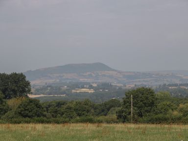 A view of hills and trees in a field at Poppy in Raglan