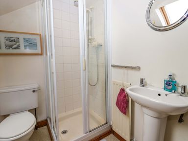 A small bathroom with a toilet, corner shower, pedestal sink with hand soap, and a round mirror
