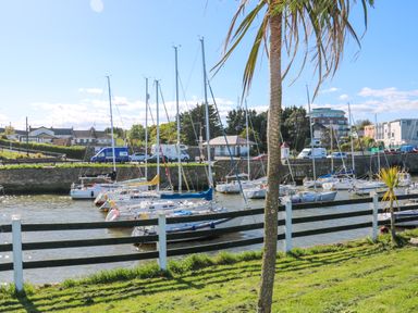 A marina with sailboats docked behind a wooden fence and palm trees on a grassy area at Sunriser in Tara Hill near Ballymoney County Wexford