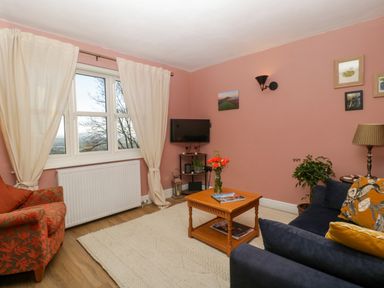 A living room with a window and white curtains a wooden coffee table orange armchair navy sofa and plants at Holly Cottage in Great Malvern