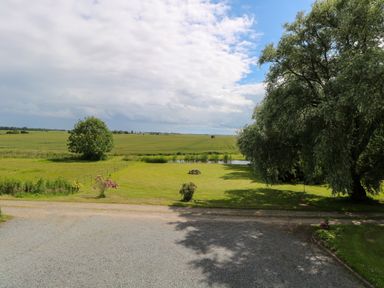 A grassy yard with a picnic table under a tree and an open field in the background at Dairy Cottage in West Caister near Caister on Sea
