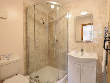 A bathroom with a glass shower enclosure a toilet and a white sink with a mirror above at Flint Cottage in West Caister near Caister-on-Sea