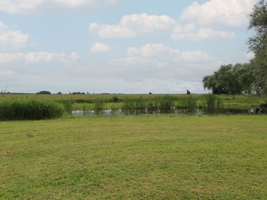 A grassy field with a small pond and trees under a partly cloudy sky at Flint Cottage in West Caister near Caister-on-Sea
