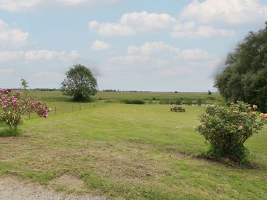 A grassy field with flowering bushes a picnic table and trees in the distance at Flint Cottage in West Caister near Caister-on-Sea