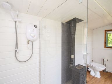 A bathroom with a shower, toilet, wood stove, and a window at Acres Meadow in Maiden Newton