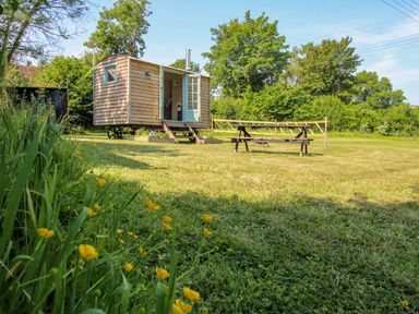 A garden with a wooden cabin and a bench on a lawn at Acres Meadow in Maiden Newton