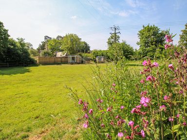 A grassy garden area with pink flowers in the foreground and small wooden cabins near a fence at Acres Meadow in Maiden Newton