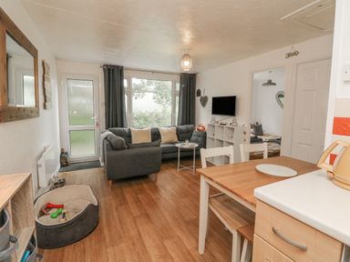 A living room with a gray sofa and pillows a small white table a wall-mounted TV open doorway to a bedroom dining table and chairs a dog bed with toys on a wooden floor at Number 24 The Park in Kilkhampton