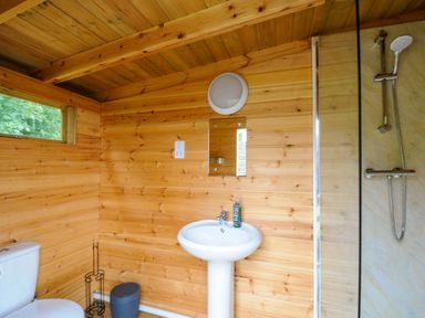 A bathroom with wooden walls a toilet a sink with a mirror above and a shower at Sheep Shed at Penbugle Organic Farm St Keyne near Looe