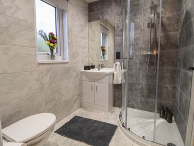 A bathroom with a toilet sink with cabinet shower enclosure and flowers on the window at Elliw in Bontuchel near Ruthin