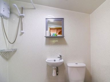 A bathroom with a sink, toilet, shower, and a mirror cabinet at Log Cabin - Amber Glow in Glastonbury