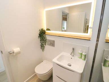 A small bathroom with a wall-mounted toilet a sink with two pump bottles a large illuminated mirror and a plant at The Croft in Shipston-On-Stour