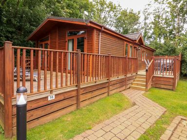 A wooden cabin with an elevated deck and railing surrounded by trees at Templar Rise 16 - Devon Comfort Finlakes Holiday Park near Chudleigh