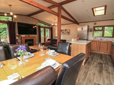 A combined kitchen dining and living area with wooden beams and flooring at Templar Rise 16 - Devon Comfort Finlakes Holiday Park near Chudleigh